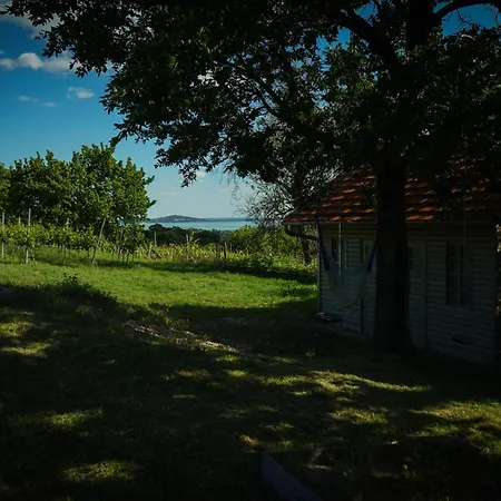Vakantiehuis Hill & Chill *