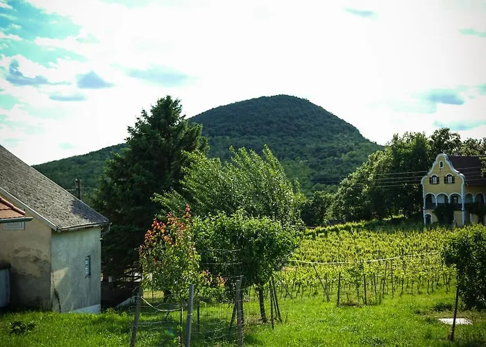 Hill & Chill בית נופש