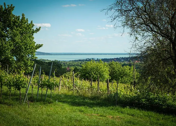 Hill & Chill Kaptalantoti